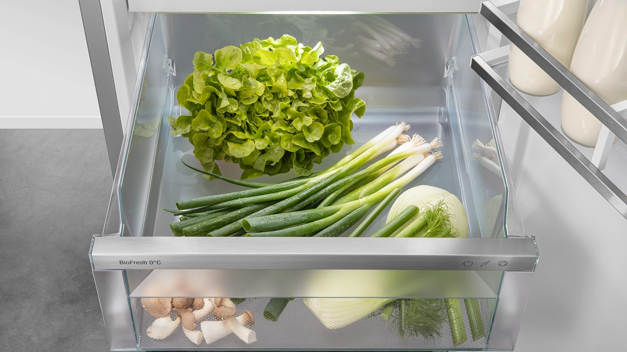 XRCsdh 5266 Prime BioFresh NoFrost Side-by-Side combination - Liebherr